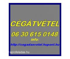 Cégátvétel!