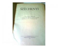 Széchenyi éve