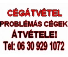 Cégátvétel!